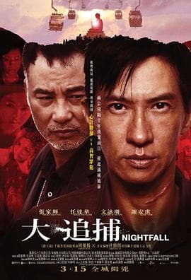 大追捕国语海报