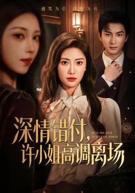 深情错付,许小姐高调离场海报