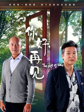 你好,再见海报