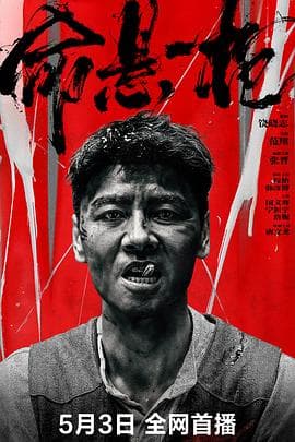 命悬一枪四川话海报