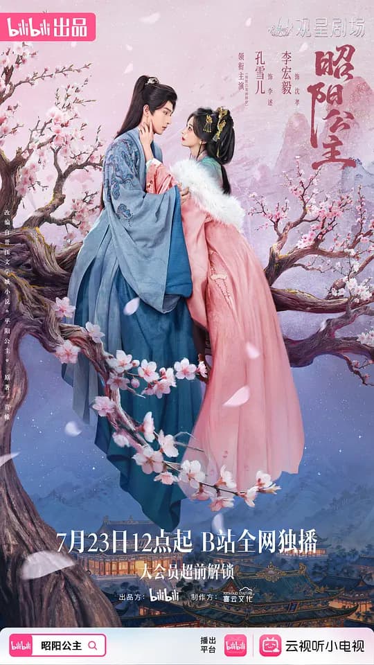昭阳公主海报