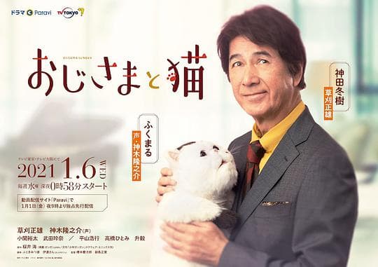 大叔与猫海报